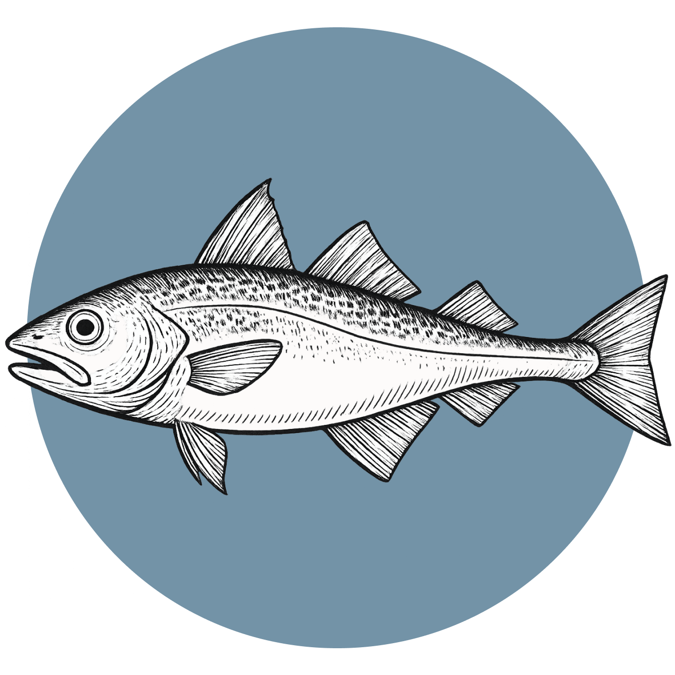 abadejo-alaska-producto
