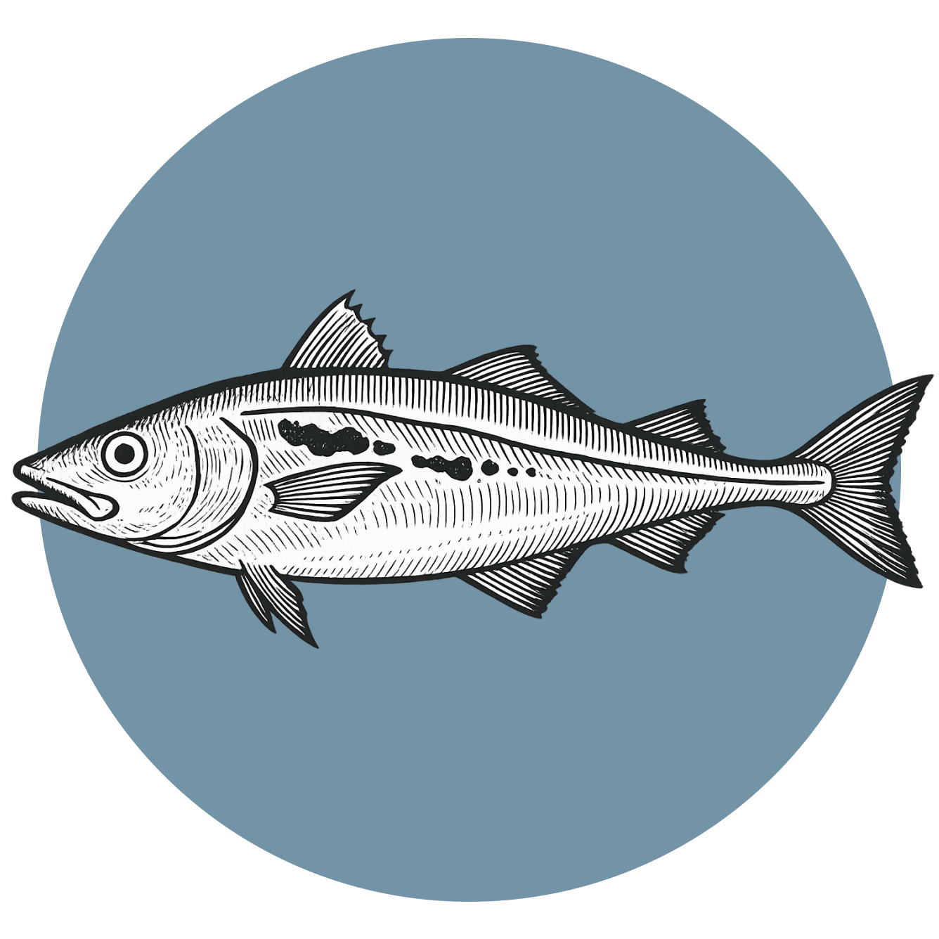 adejo-alaska-pescado