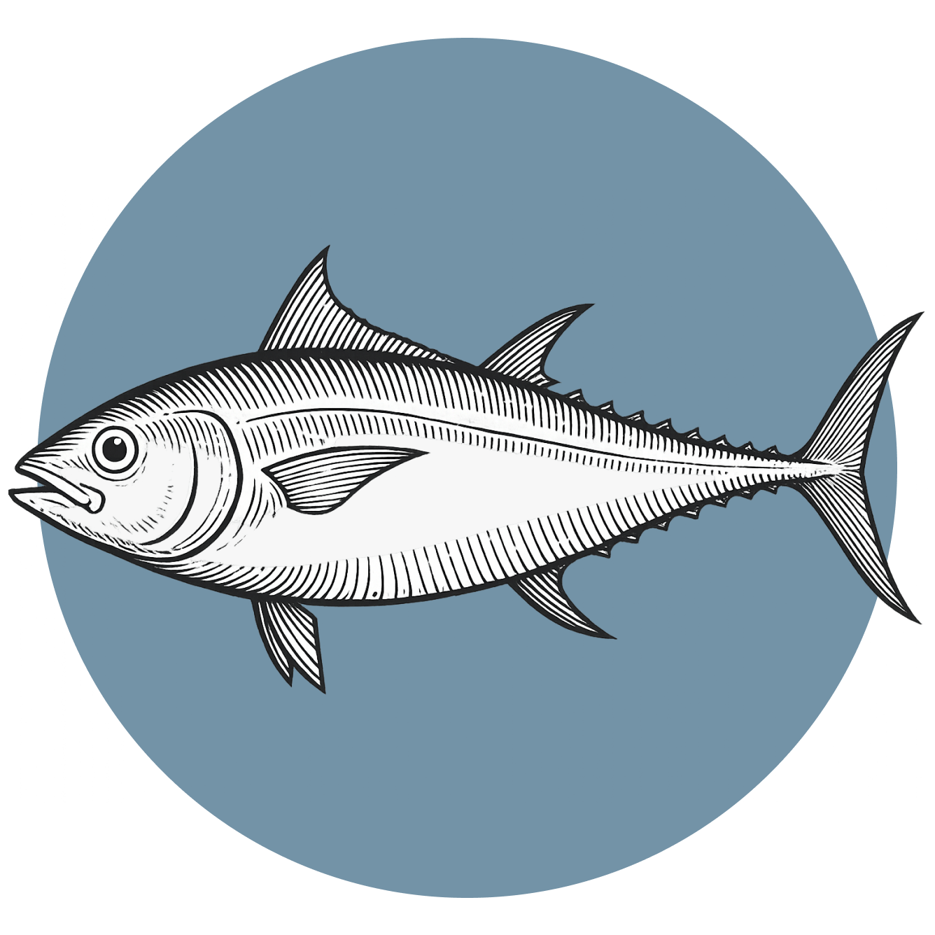 atun-aleta-amarilla-pescado