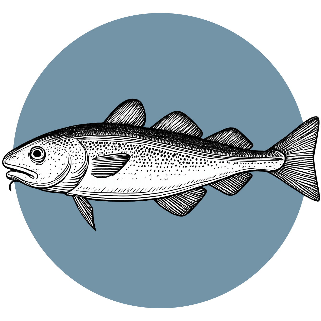 bacalao-pescado