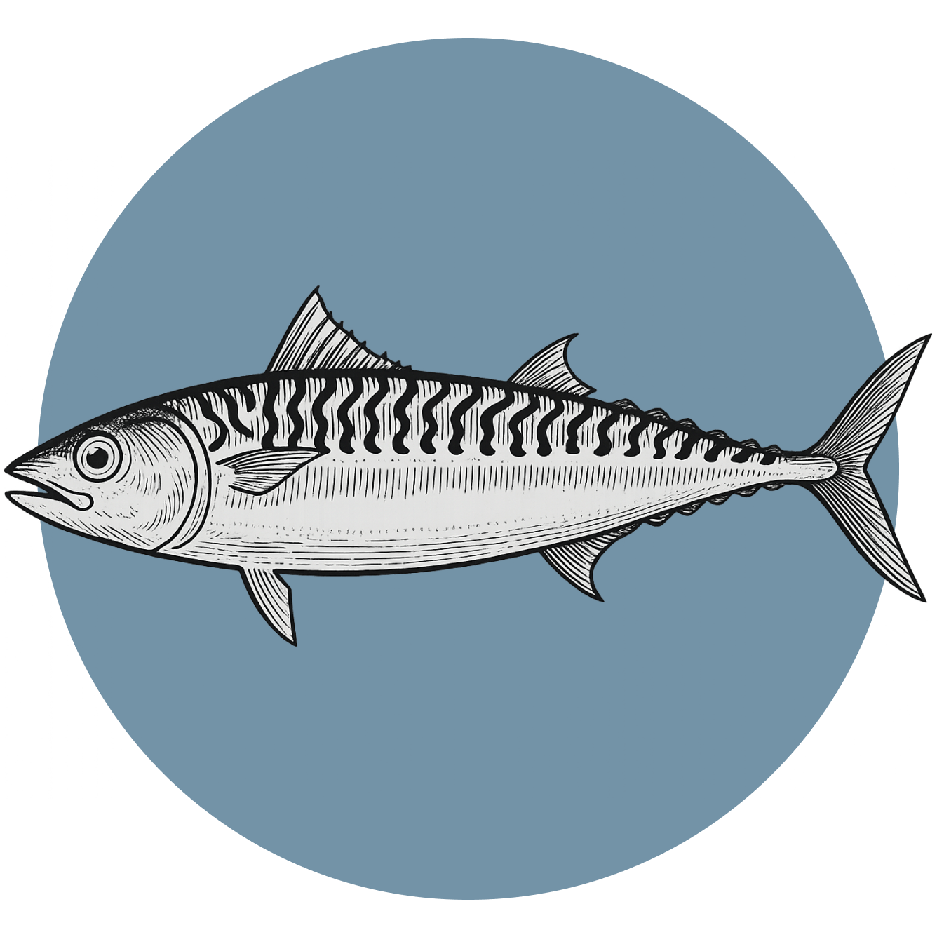 caballa-pescado