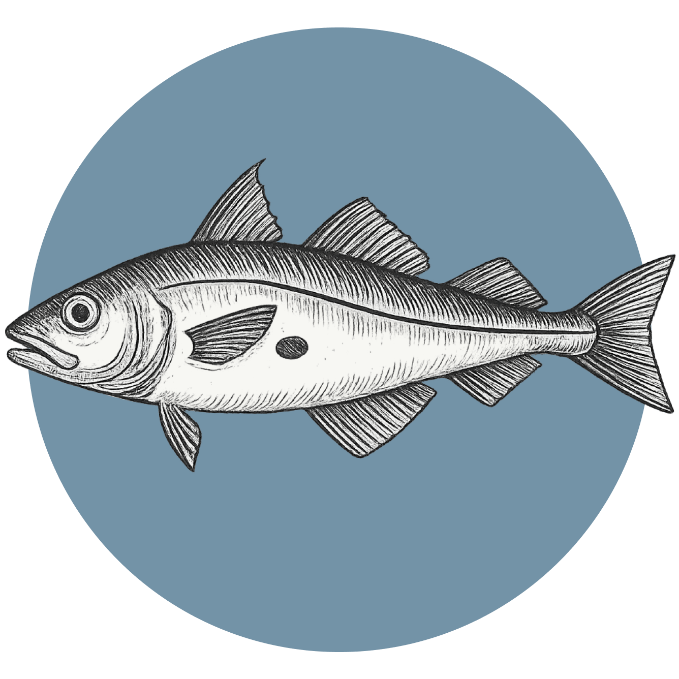 eglefino-pescado