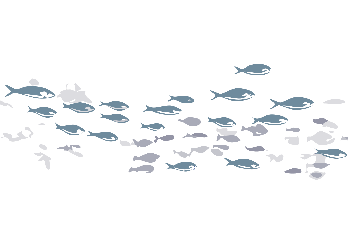 pesca-sostenible