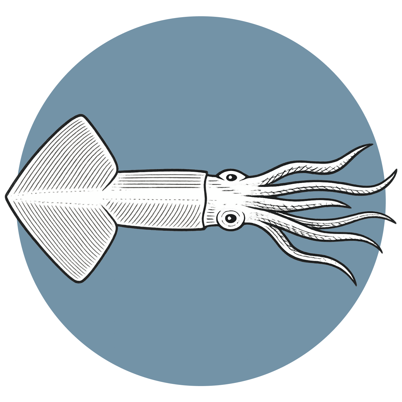 poton-pescado