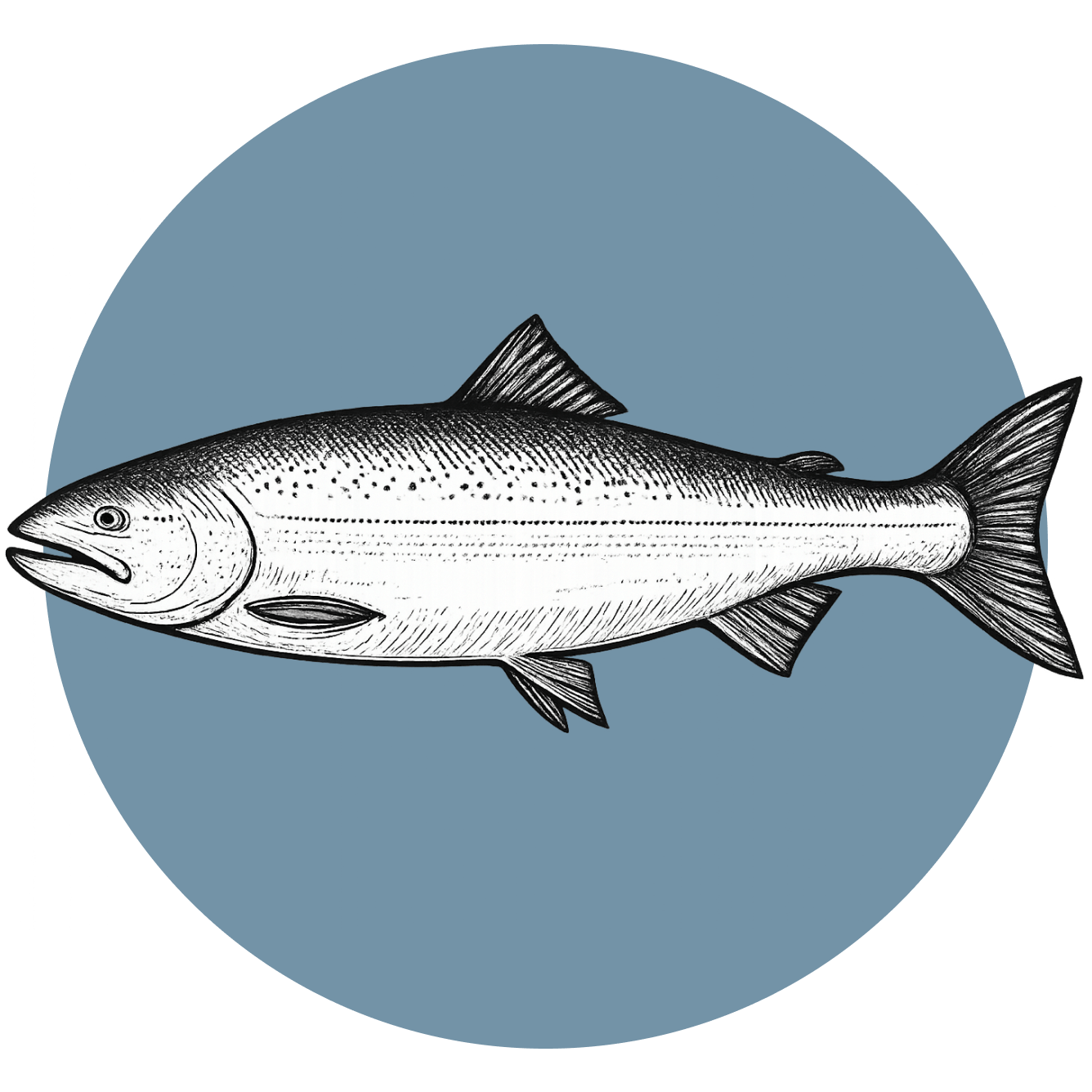 salmon-pescado