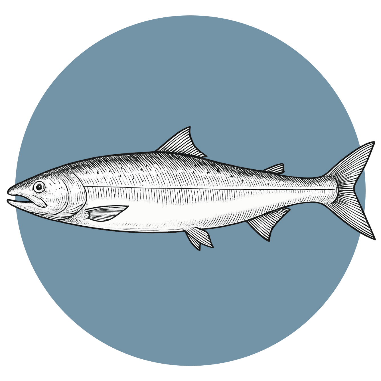 salmon-salvaje-alaska-pescado
